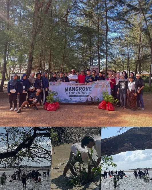 Aksi Nyata di Desa Batu Belubang: BEM KM FISIP UBB All-Out Dukung Restorasi Mangrove Demi Ketahanan Pesisir dan Ekonomi Lokal